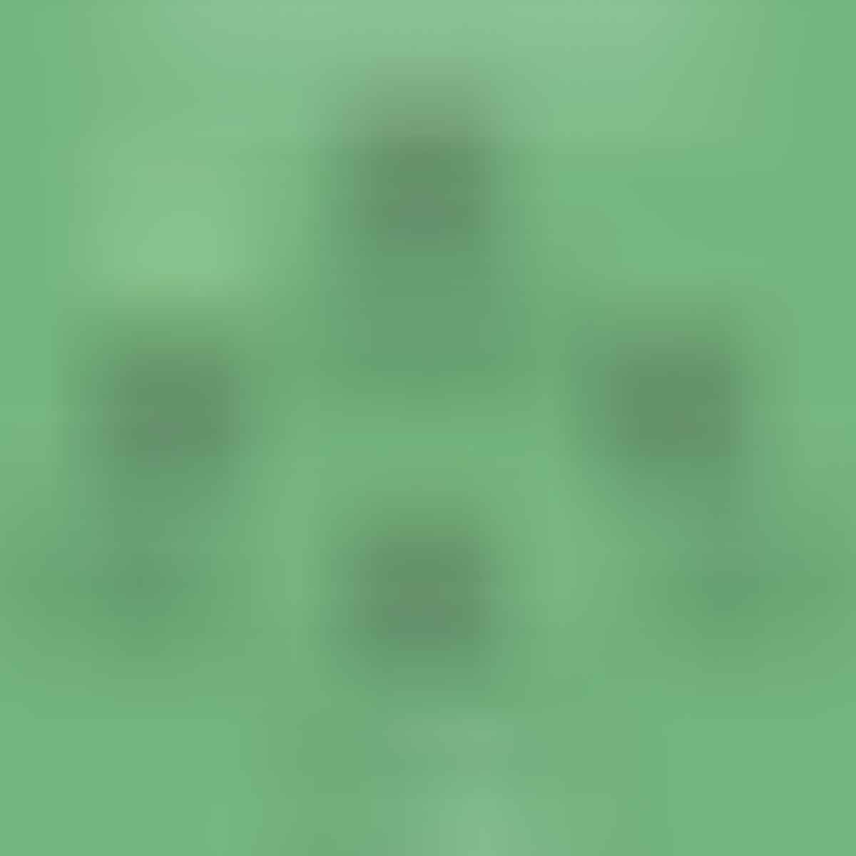 Photinia fraseri 'Red Robin' - Glansmispel op stam 90cm Online Kopen ...